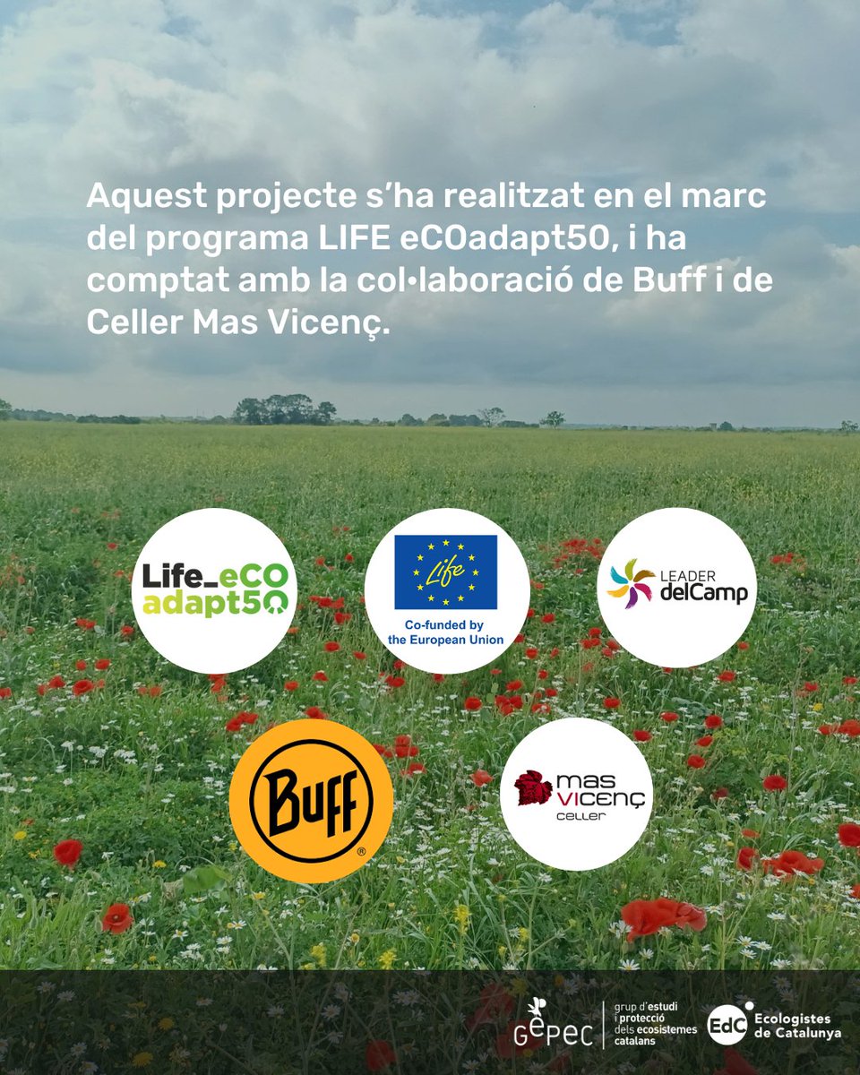 GEPEC-EdC (@gepecedc) on Twitter photo 🌍El <a href="/lifeeCOadapt50/">Life eCOadapt50</a> vol contribuir a impulsar l’adaptació al canvi climàtic a nivell local.
A més, també han col·laborat en el projecte @masvicens i <a href="/BUFFofficial/">Bogota Underground Film Festival</a>
gepec.cat/el-gaig-blau-t… 🌍El <a href="/lifeeCOadapt50/">Life eCOadapt50</a> vol contribuir a impulsar l’adaptació al canvi climàtic a nivell local.
A més, també han col·laborat en el projecte @masvicens i <a href="/BUFFofficial/">Bogota Underground Film Festival</a>
gepec.cat/el-gaig-blau-t…