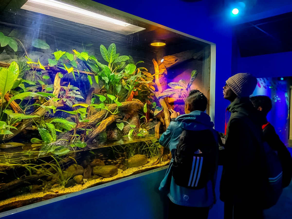 Today was Year 8's turn to visit <a href="/ZSLWhipsnadeZoo/">Whipsnade Zoo</a> and see a variety of animals from all across the globe.

It was great to see so many budding photographers among the year group, capture images and memories they will look back on fondly for years to come.