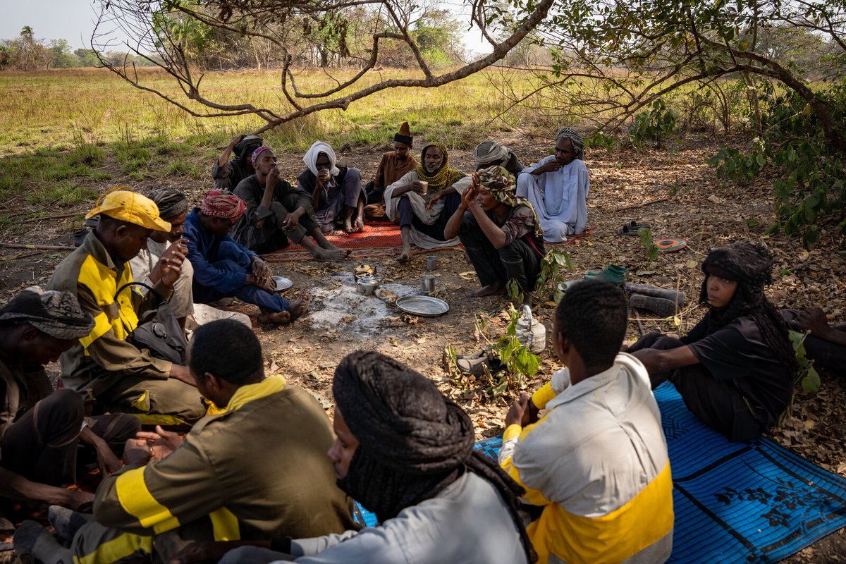 AfricanParks's tweet image. TANGO teams in tune with local communities.
When TANGO teams in Chinko in the CAR share a glass of tea around the campfire with Fulani herders, it’s not just a social visit. Instead, it’s part of a collaborative effort to better manage the delicate balance between cattle grazing…