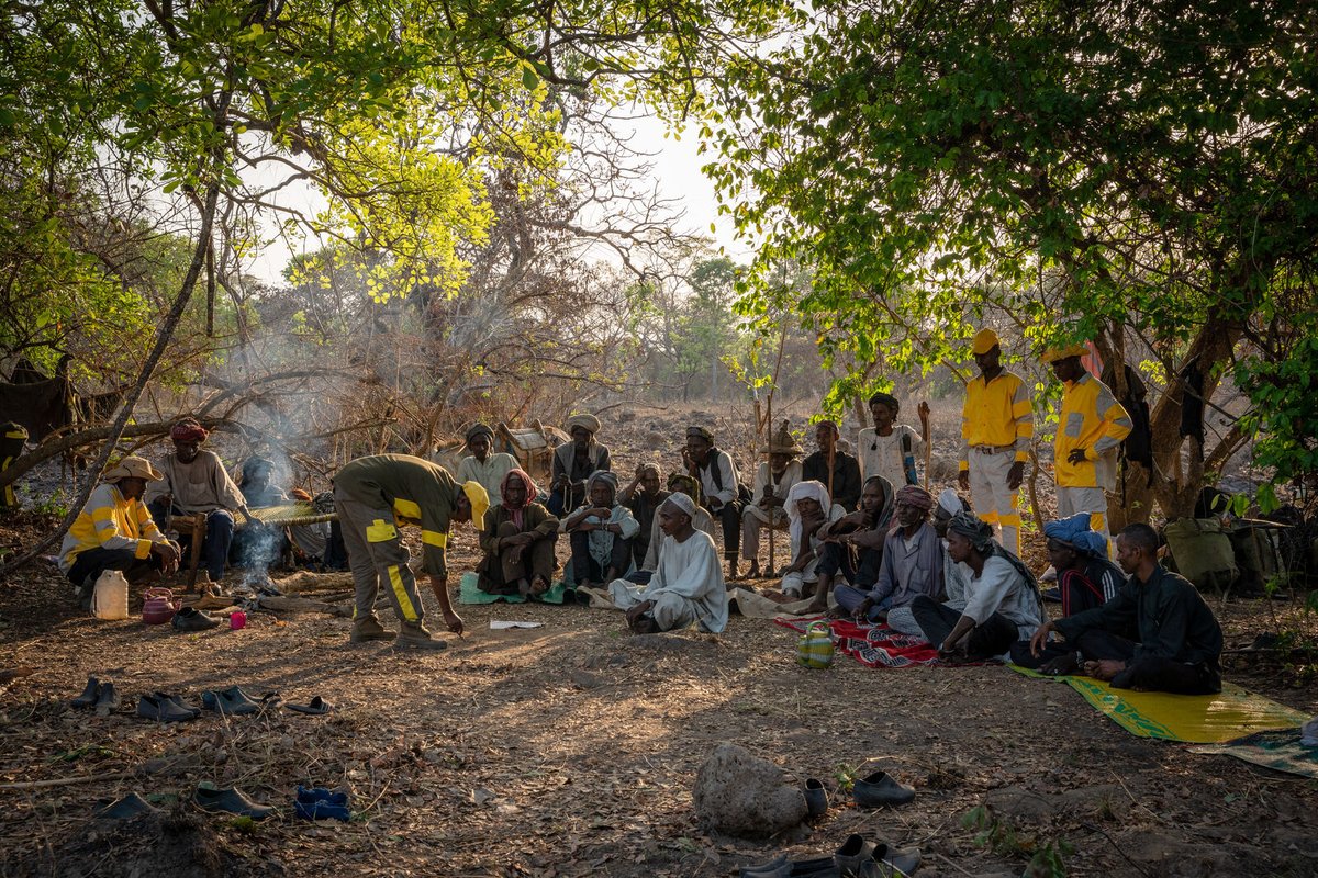 AfricanParks's tweet image. TANGO teams in tune with local communities.
When TANGO teams in Chinko in the CAR share a glass of tea around the campfire with Fulani herders, it’s not just a social visit. Instead, it’s part of a collaborative effort to better manage the delicate balance between cattle grazing…