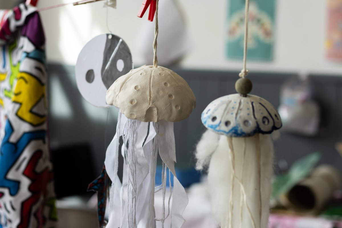 The Model Sligo tweet media