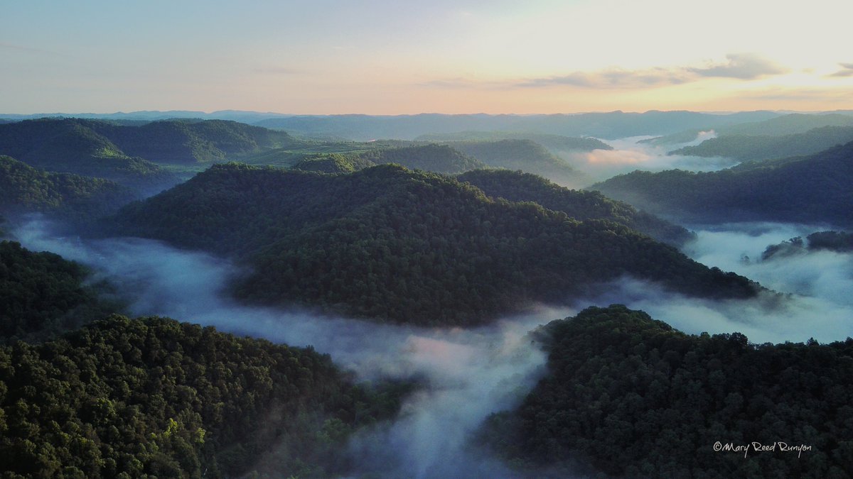 MaryReedRunyon1's tweet image. KY Highway 468 northbound on the right and Lick Branch Holler on the left this morning as the fog rested over my neighborhood. Hatfield, KY @WYMT @brobwx @WSAZBrandon @cjwxguy56 @Kentuckyweather @JimWKYT @SpencerWeather @jloganwxguy #Kentucky #HollerLife #kywx #ekywx #sekywx #fog