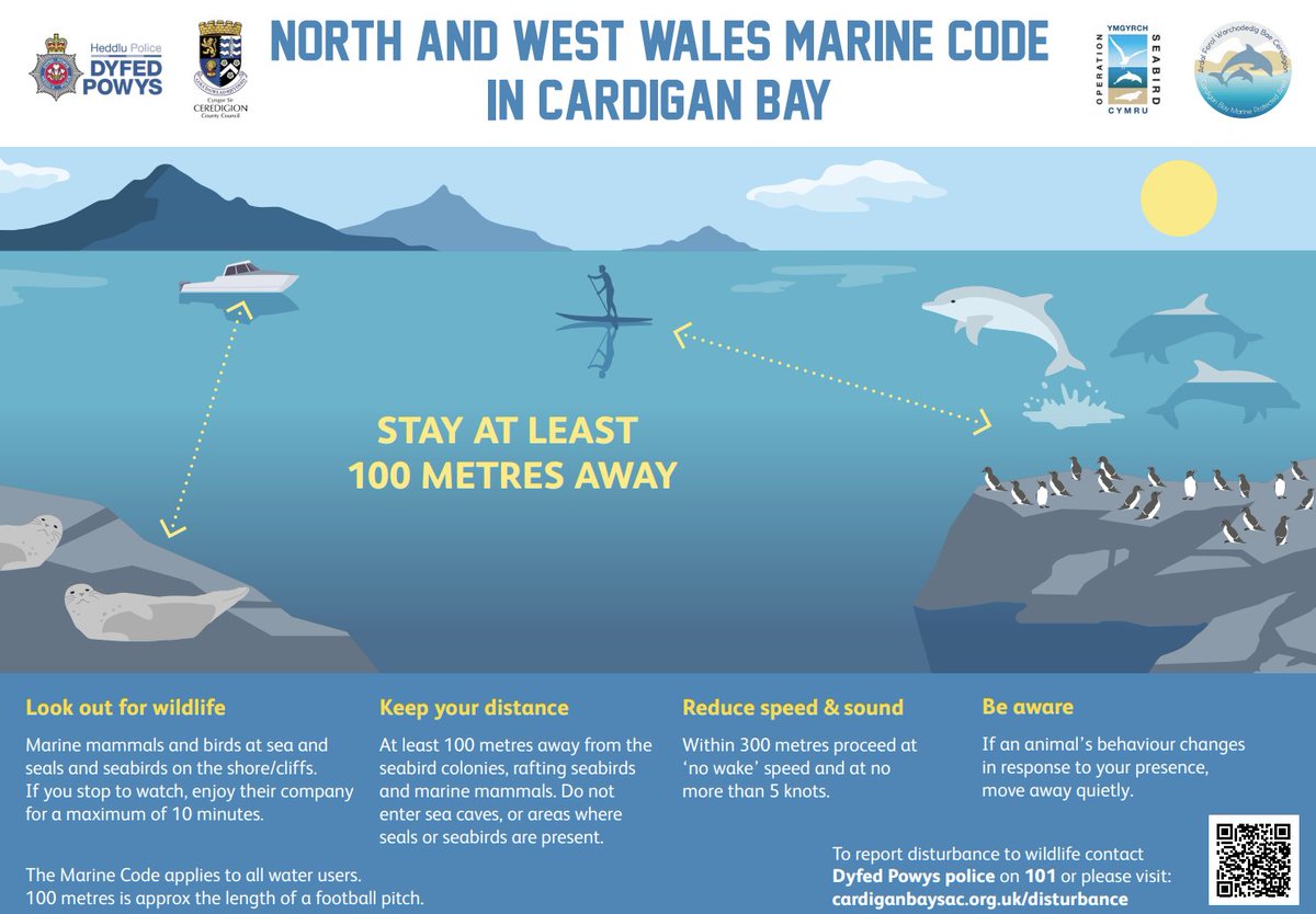 CeredigionCC's tweet image. During the summer season, visitors and residents are reminded of the North and West Wales Marine Code in Cardigan Bay, and the advice to stay at least 100 metres away from marine wildlife. 🦭