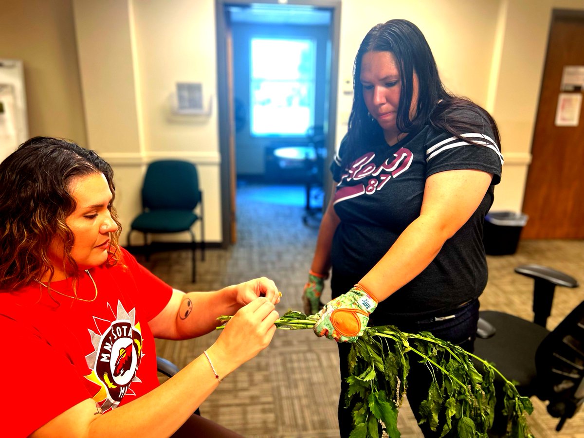 IHB_Minneapolis's tweet image. This week, our Indigenous Services team bundled Bee’s Balm and Stinging Nettles .
🌸 Bee’s Balm is known for soothing colds, reducing anxiety, and freshening breath.
🌿 Nettles are rich with nutrients, such as Vitamin A and D.
#MyIHB #IndigenousServices #TraditionalMedicine