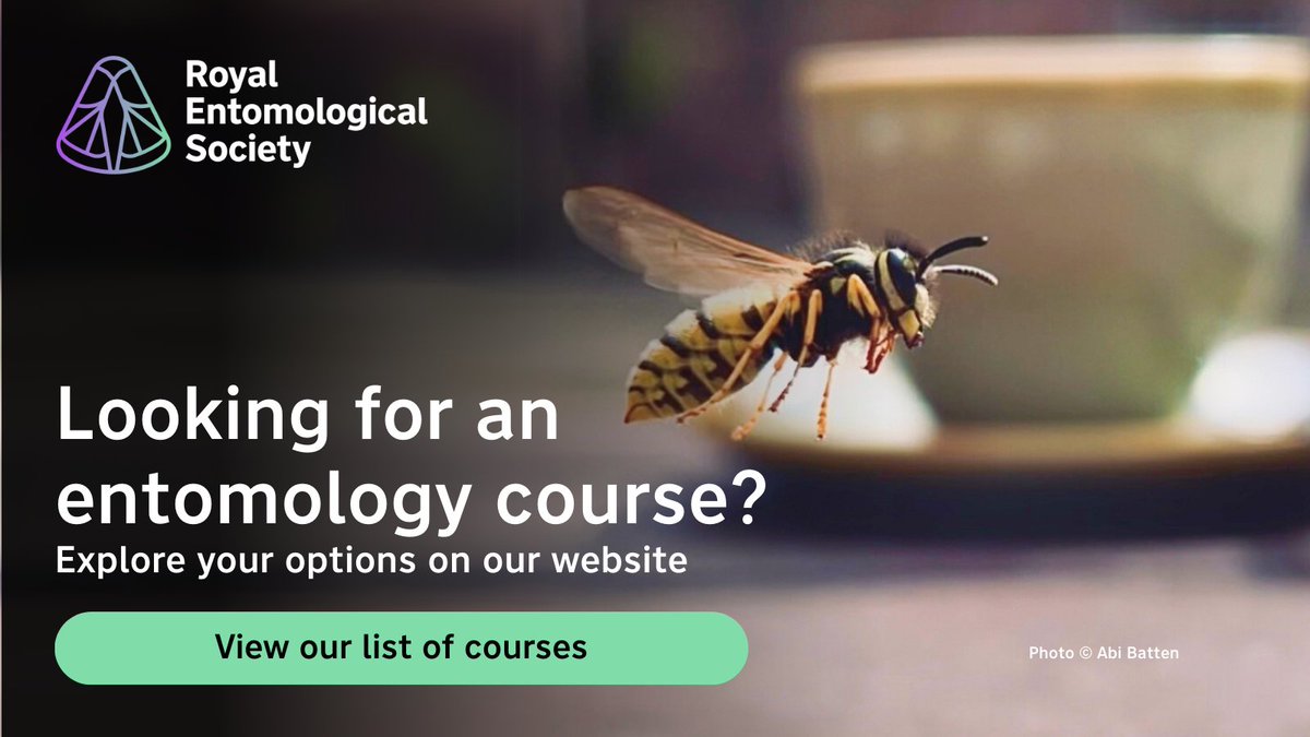 RoyEntSoc's tweet image. We have compiled a list of incredible institutions located in the UK and Ireland offering part-time and full-time #Entomology-related courses to get you on the right track to achieving your #Entomological #Career aspirations 🎓
View our courses page 🔽
royensoc.co.uk/membership-and…