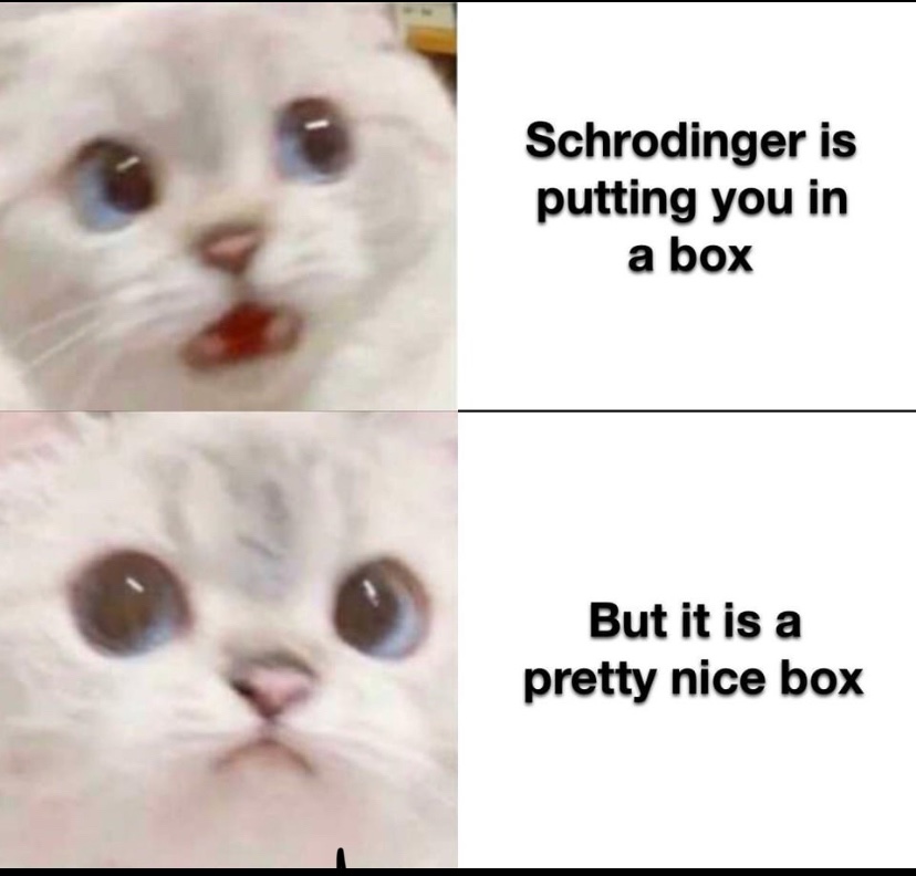 WeAssessCats's tweet photo. Cats Achilles heel are boxes https://t.co/IaqF4Oc3Ha
