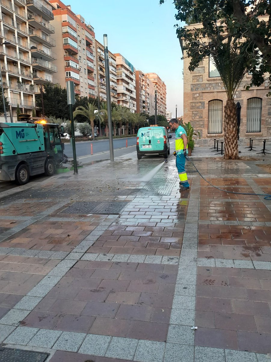 🧹Labores de limpieza de melaza en la vía pública producida por la cáida de frutos.

Una labor importante para que nuestras aceras y calles luzcan limpias⭐

#MurciaLimpia #Murcia1200