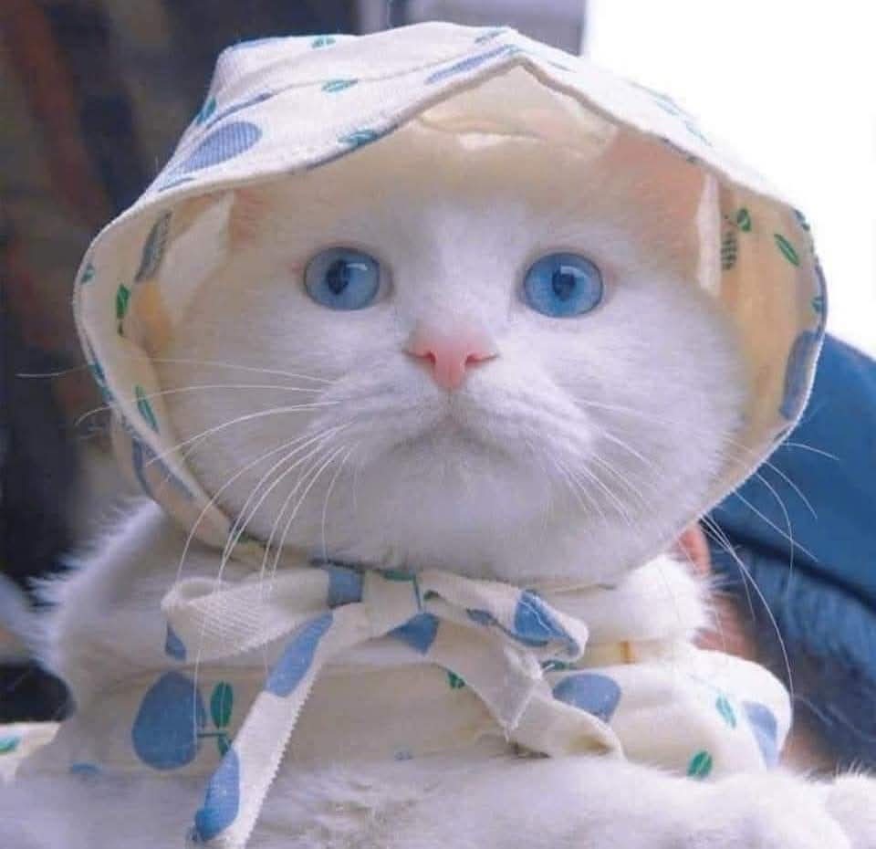 Bundan sonra köyün çirkin kızıyım