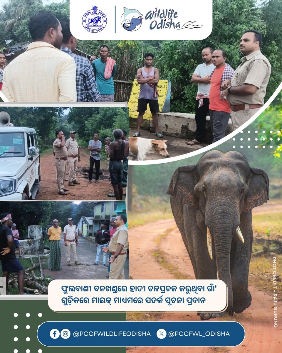 PCCF WL & CWLW, Odisha tweet media