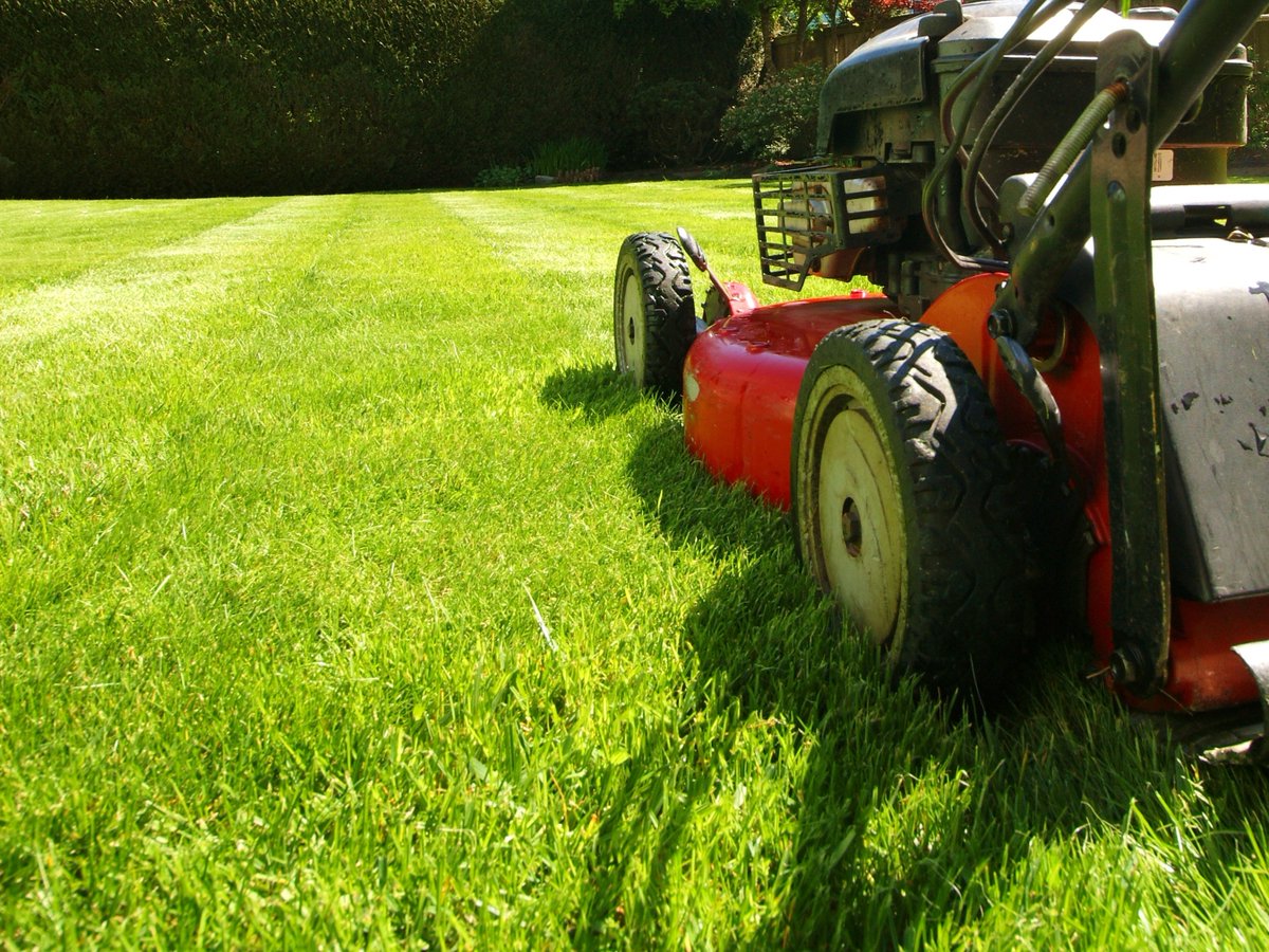 Keep your lawn green all season long with FS GreenYard products. Talk to your local #FS Turf Specialist for all your turf needs.