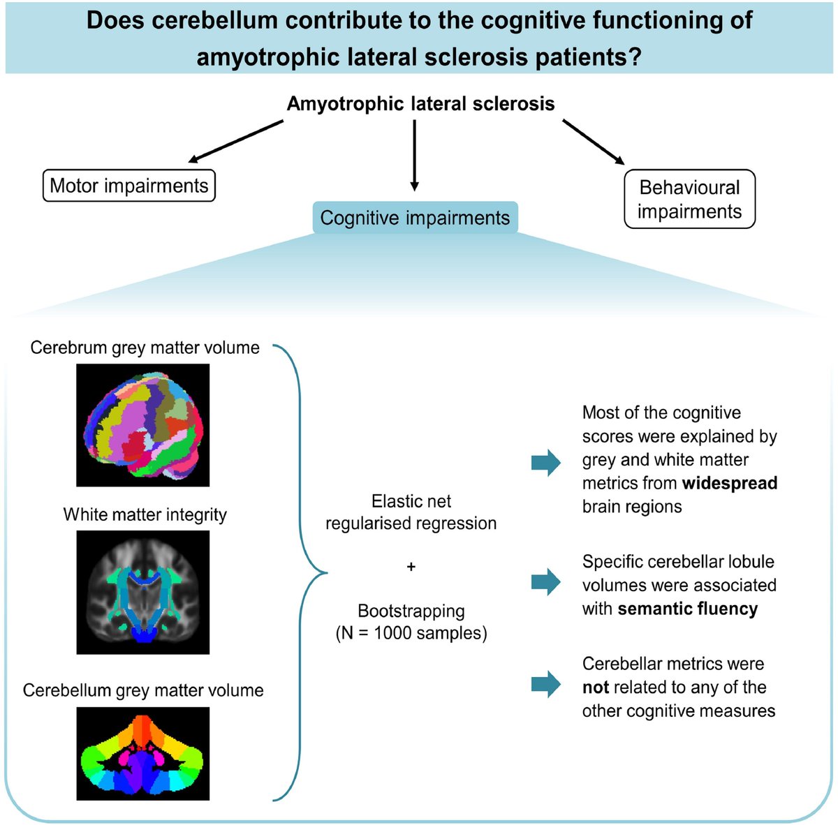 braincomms's tweet image. Lehto et al. found that the grey matter volume of cerebellar lobules was related to semantic fluency performance in ALS patients. Performance on other cognitive tasks was related to cerebral but not cerebellar grey matter and white matter metrics. Read at buff.ly/X0t9UoL