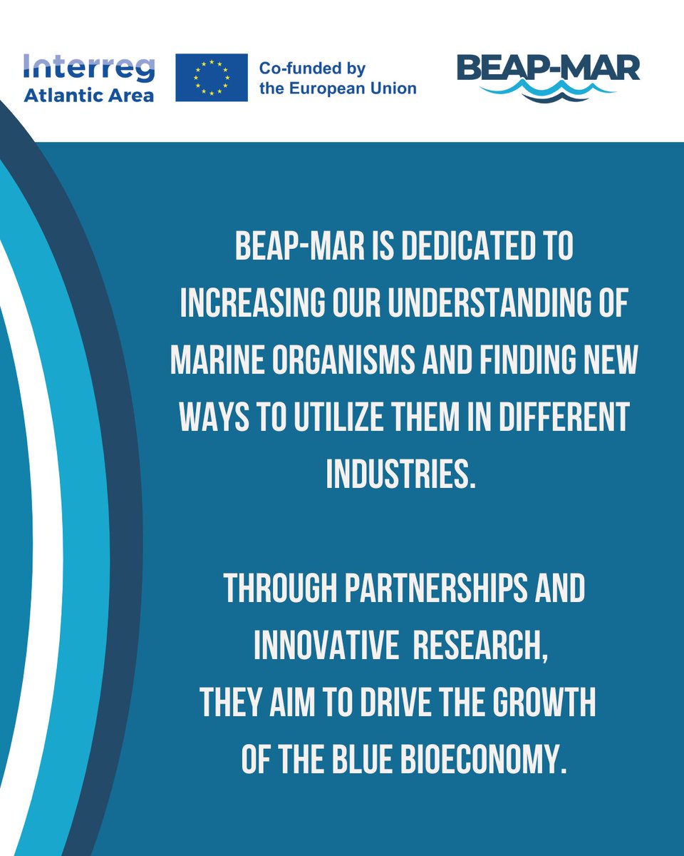 WestBIC is proud to be a partner in the BEAP-MAR project, an exciting European collaboration focused on advancing sustainable solutions from marine biodiversity.

Learn more about the project: beap-mar.eu