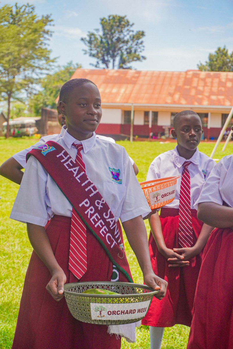 G4ClimateAction's tweet image. Today we are throwing it back to our incredible #orchard week!🌲 Here,we planted fruit trees because they are better carbon sinks, they contribute to food security in schools and they act as shades for the kids to play and learn.
Plant a tree today! #RestoreYourOrchard
#GMP