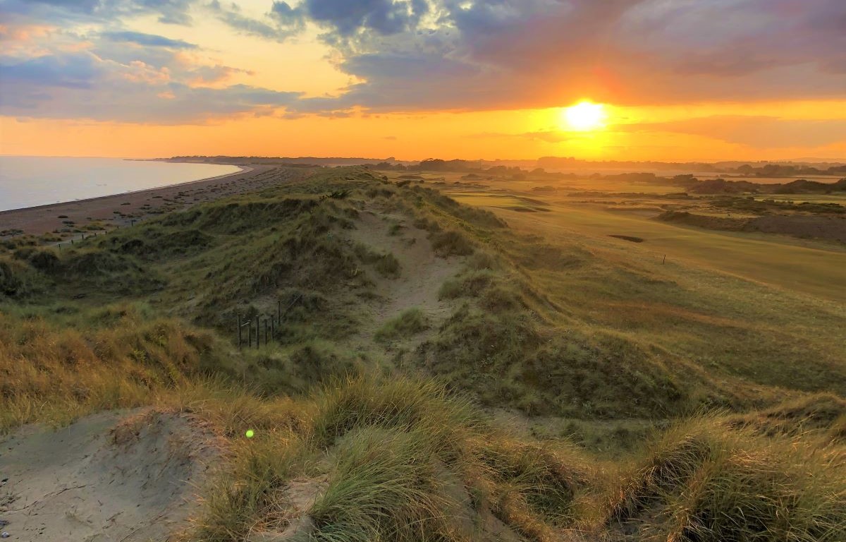 British & International Golf Greenkeepers Assn. tweet media