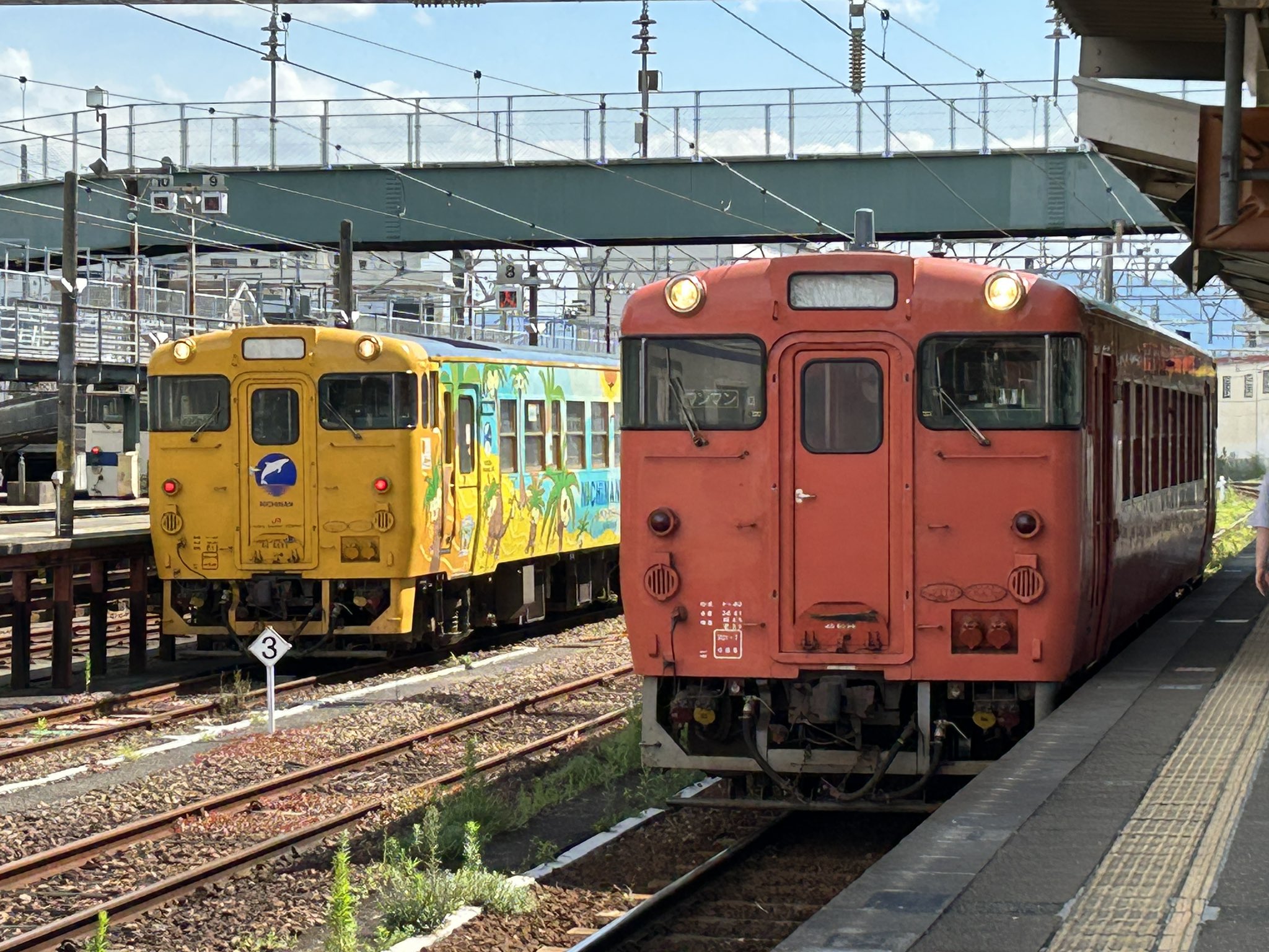 キバナ 北白樺 on X: 