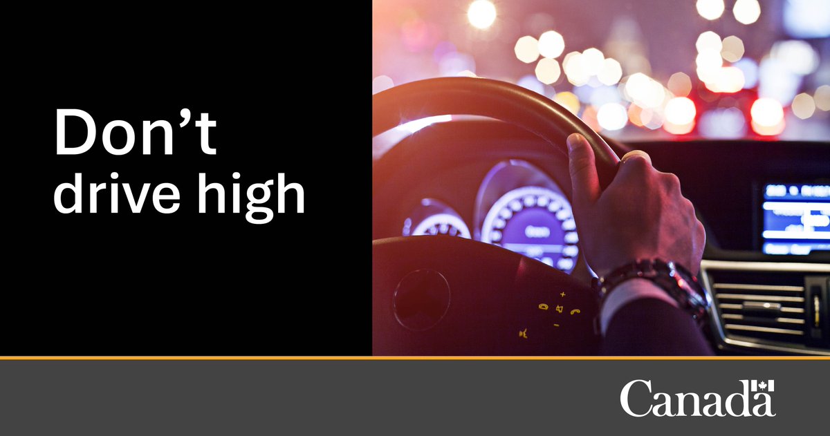 Safety_Canada's tweet image. Drug-impaired driving can put you, your passengers, and anyone sharing the road with you in danger. Don’t drive high. More: canada.ca/en/campaign/do…