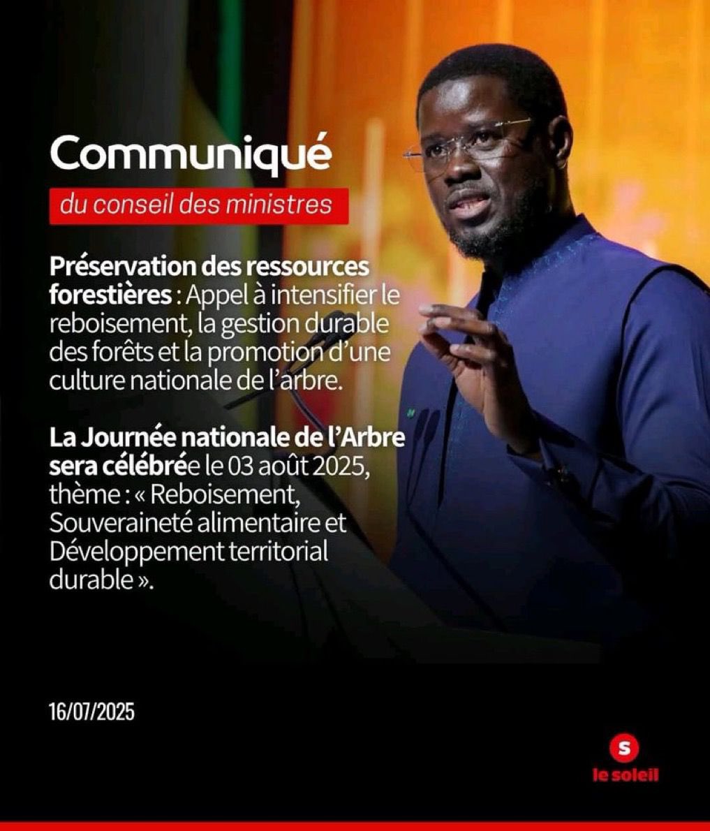 SenegalVertChal's tweet image. Cette mission est pour moi ! Veuillez nous la confier 🙏🏿 ! Gnou Dokhal Ko Nimu Waré ☺️
🌳 Son Excellence appelle à intensifier le reboisement et à promouvoir une culture nationale de l’arbre.
Sunu Réew Nooko moom, Nooko wara Defar nun Ndaw ñi
#SenegalVerteChallenge