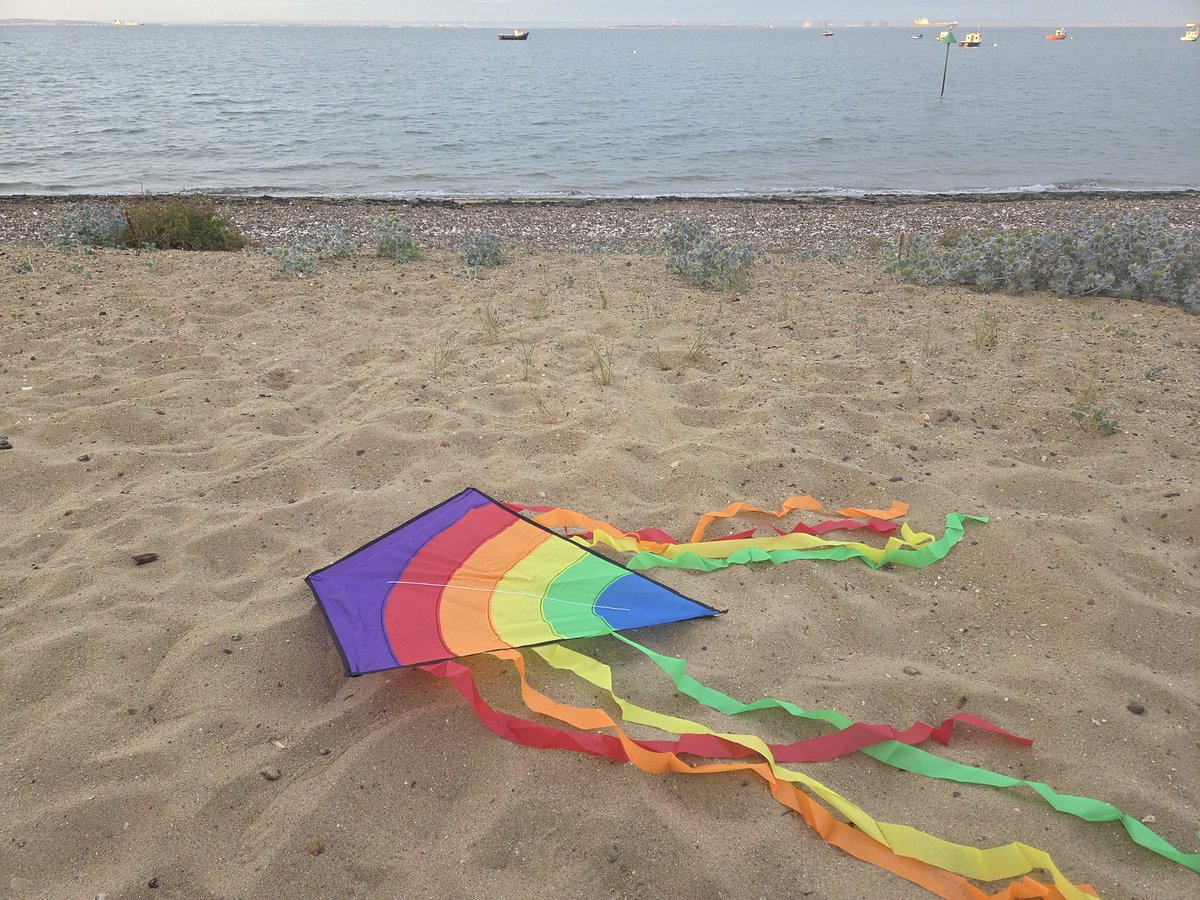 shrimp_sammy's tweet image. Tomorrow im attending the book launch at rootshall 💙 7pm
Saturday im doing some litter picking on the beach with 2 wonderful organisations, come & join in. 10am
I'll be flying my kite on the beach ⛱️ ill be opposite the roslin hotel if u want to come & grab a picture 📸 11am