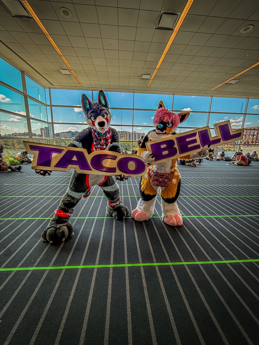 BlizzTheWolf's tweet image. Real furries eat at….🌮🔔 (and regret it later)
🦌: @CaesuraM