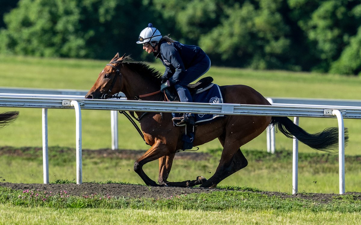 Yesterday saw Iwantmytimewithyou claim victory at Bath under Hector Crouch. 
His second win in under ten days, hopefully he can carry on this run of great performances.
Congratulations to his owner/breeders the Smith family and to the team at La Grange. 
edunlop.com/news,iwantmyti…