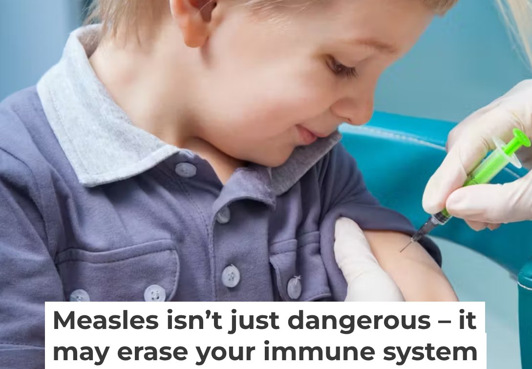Immunize_USA's tweet image. Research suggests that the #measles #vaccine both protects the body from the measles virus, and also significantly reduces the risk of infections from diseases unrelated to measles.
theconversation.com/measles-isnt-j…
#immunizations #publichealth
Donate
immunizeusa.salsalabs.org/donatetotip202…