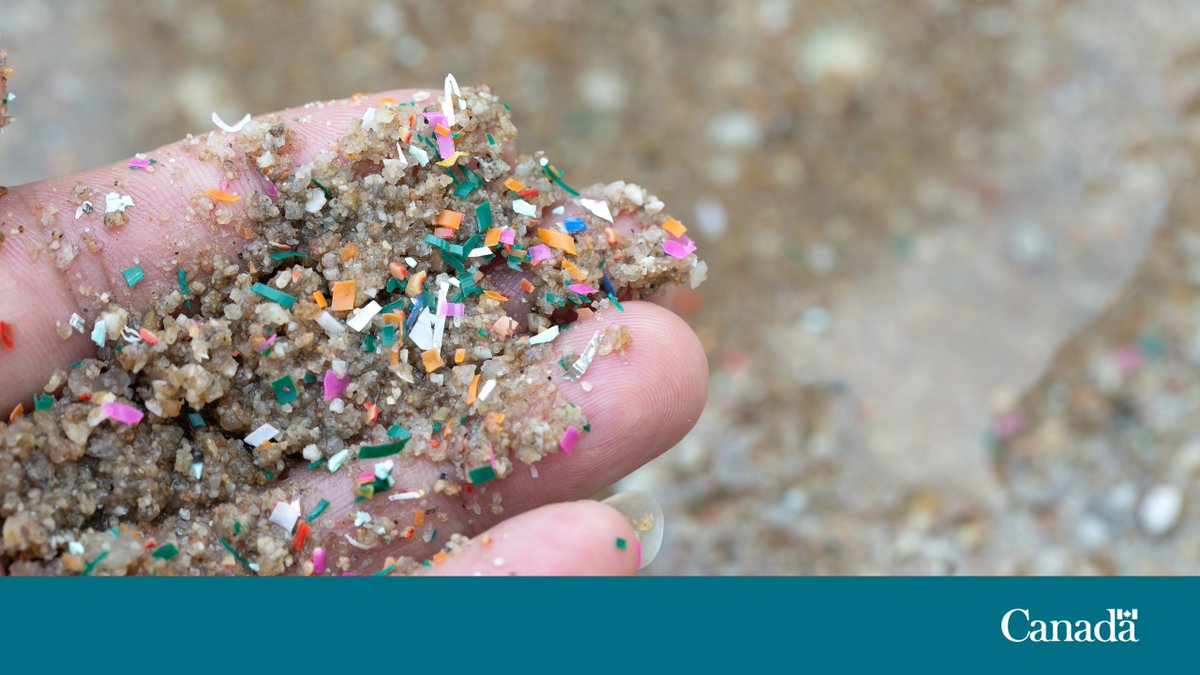 NRC Canada (@nrc_cnrc) on Twitter photo #NRCOceanResearch is working with <a href="/oceandiagnstics/">Ocean Diagnostics</a> to tackle #microplastics in our oceans. Together, we’re developing a national framework that standardizes measurements, which will be available via the Canadian Ocean Microplastic Explorer web app.
ow.ly/LqbK50WrmUa #NRCOceanResearch is working with <a href="/oceandiagnstics/">Ocean Diagnostics</a> to tackle #microplastics in our oceans. Together, we’re developing a national framework that standardizes measurements, which will be available via the Canadian Ocean Microplastic Explorer web app.
ow.ly/LqbK50WrmUa