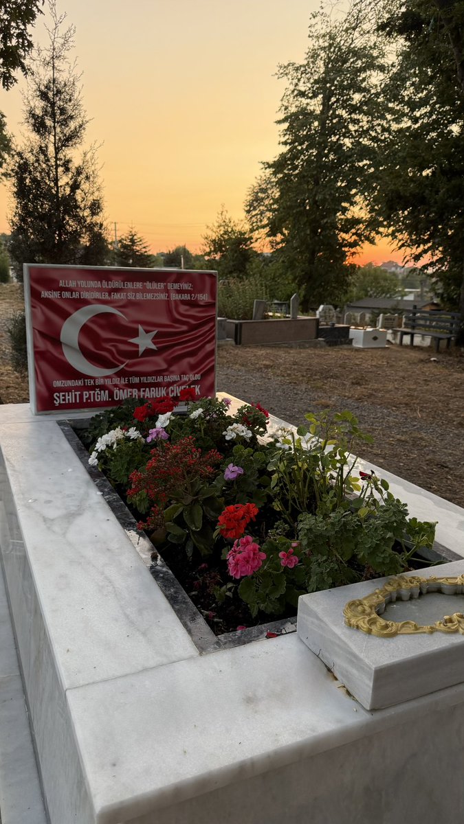 Batmayan günEşim..🇹🇷 #omerfarukcivelek