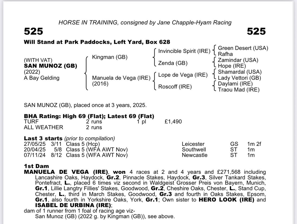 WeighedInRacing's tweet photo. We’ve bought our first horse 🐎 https://t.co/kCdXZA6j1h