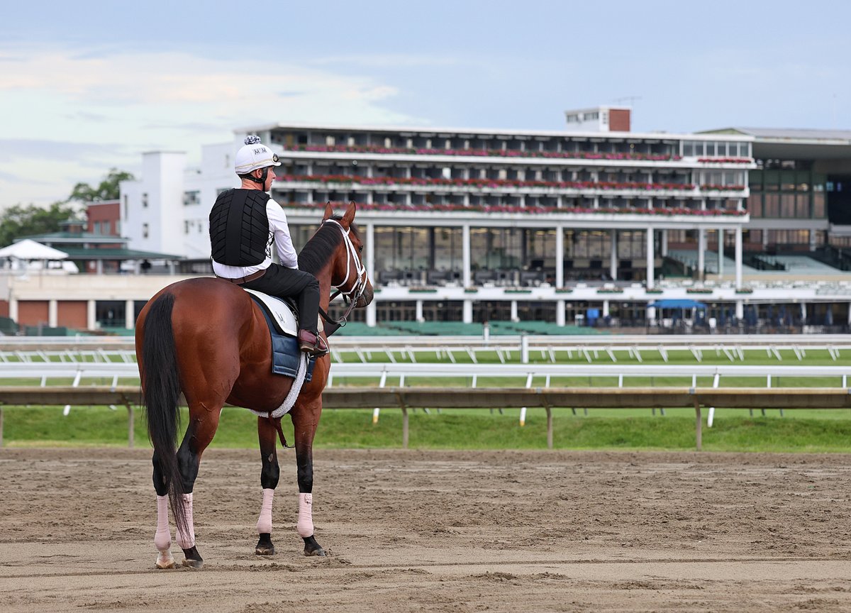 TwinSpires's tweet image. Journalism 😍😍 #HASKELL