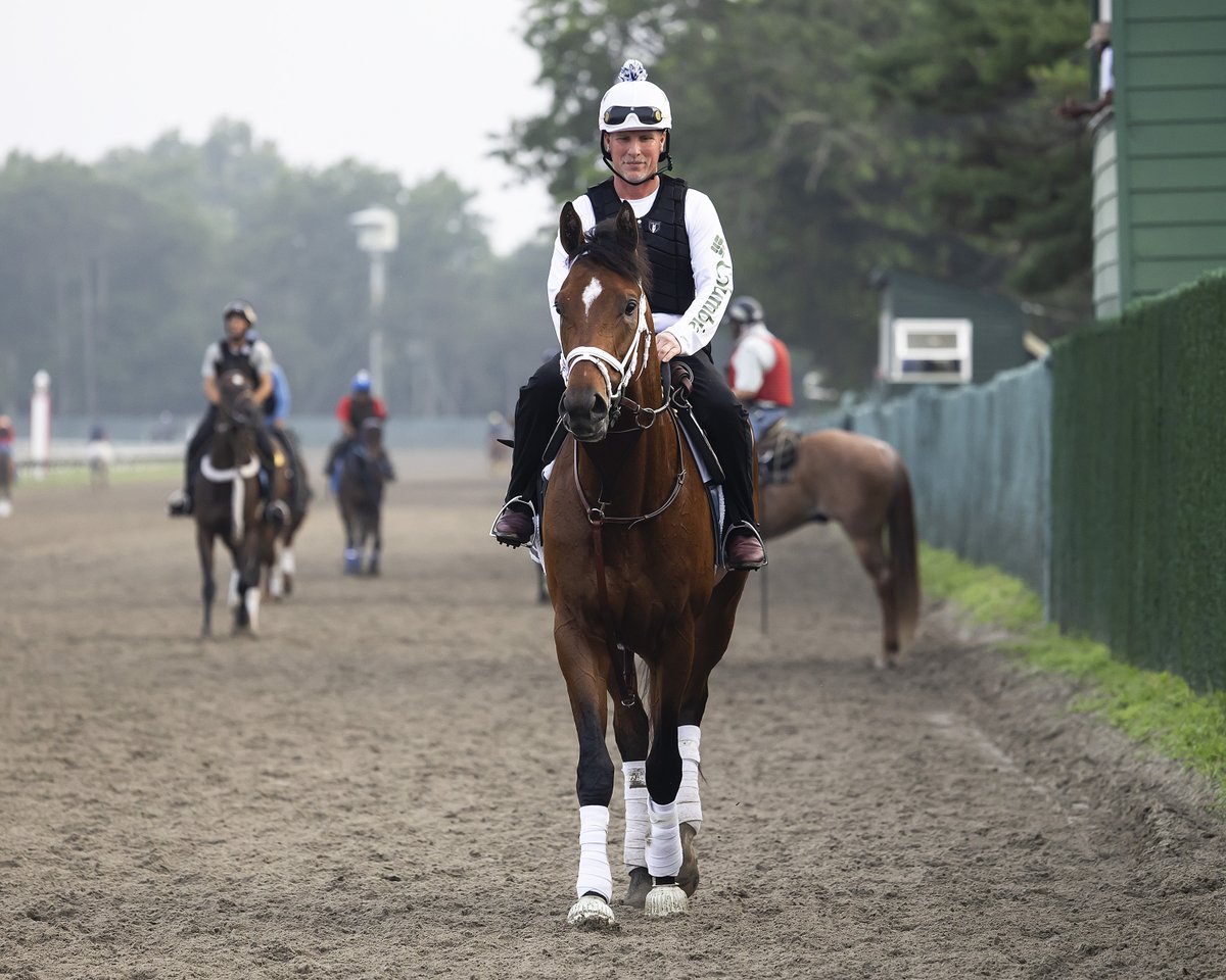 TwinSpires's tweet image. Journalism 😍😍 #HASKELL
