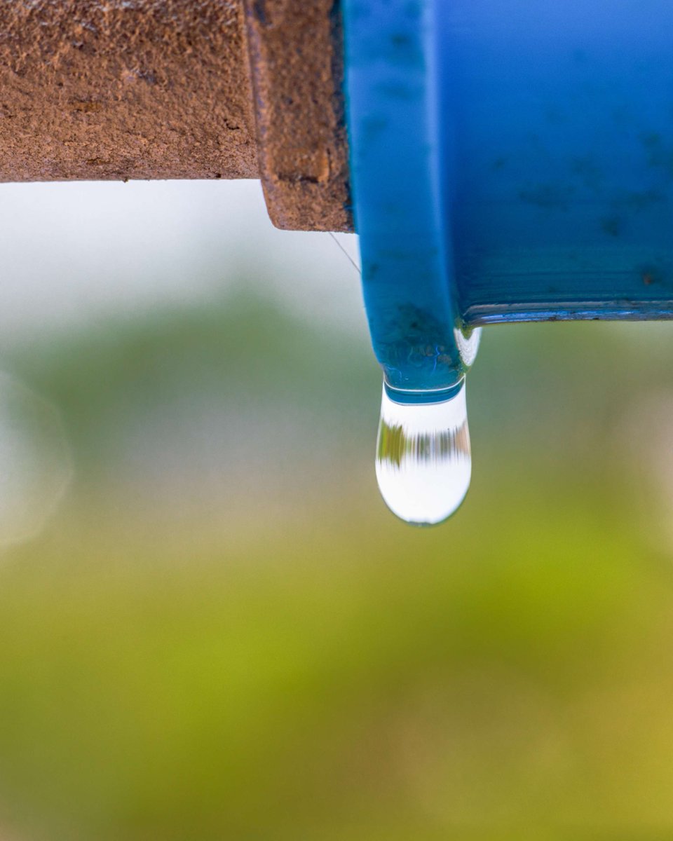 One of the easiest ways to save water is with routine plumbing checks. Make sure to Inspect taps, hoses, and connections for leaks. Replacing a faucet washer is fast, cheap, and saves water. 🚰

Learn more: groundwater.org/conserve-prote…
