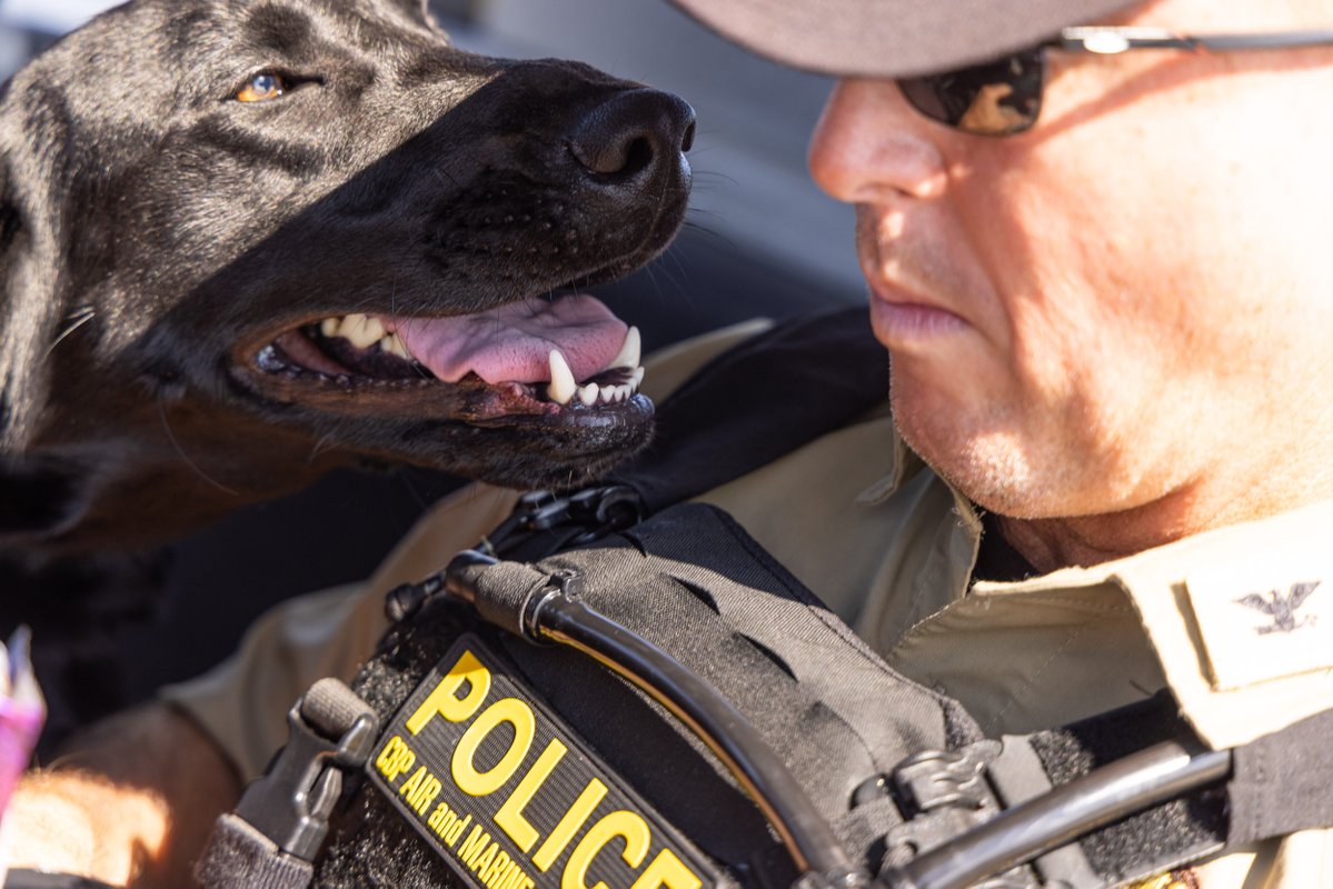 CBPAMO's tweet image. Out here running maritime ops with the goodest partner on four paws - and our federal teammates.
Securing America's waterways alongside the goodest boy and our federal partners. Even in the dog days of summer, the mission doesn't stop.