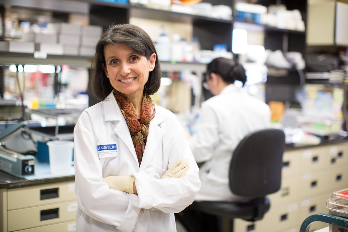 theNASciences's tweet image. Aging affects us all—but a growing sector in biotech is working to change how we experience it. #NASmember Ana Maria Cuervo explains how taking a disease-focused approach can extend a healthy human lifespan. Read more in @biospace: ow.ly/oWXV50WpW1W