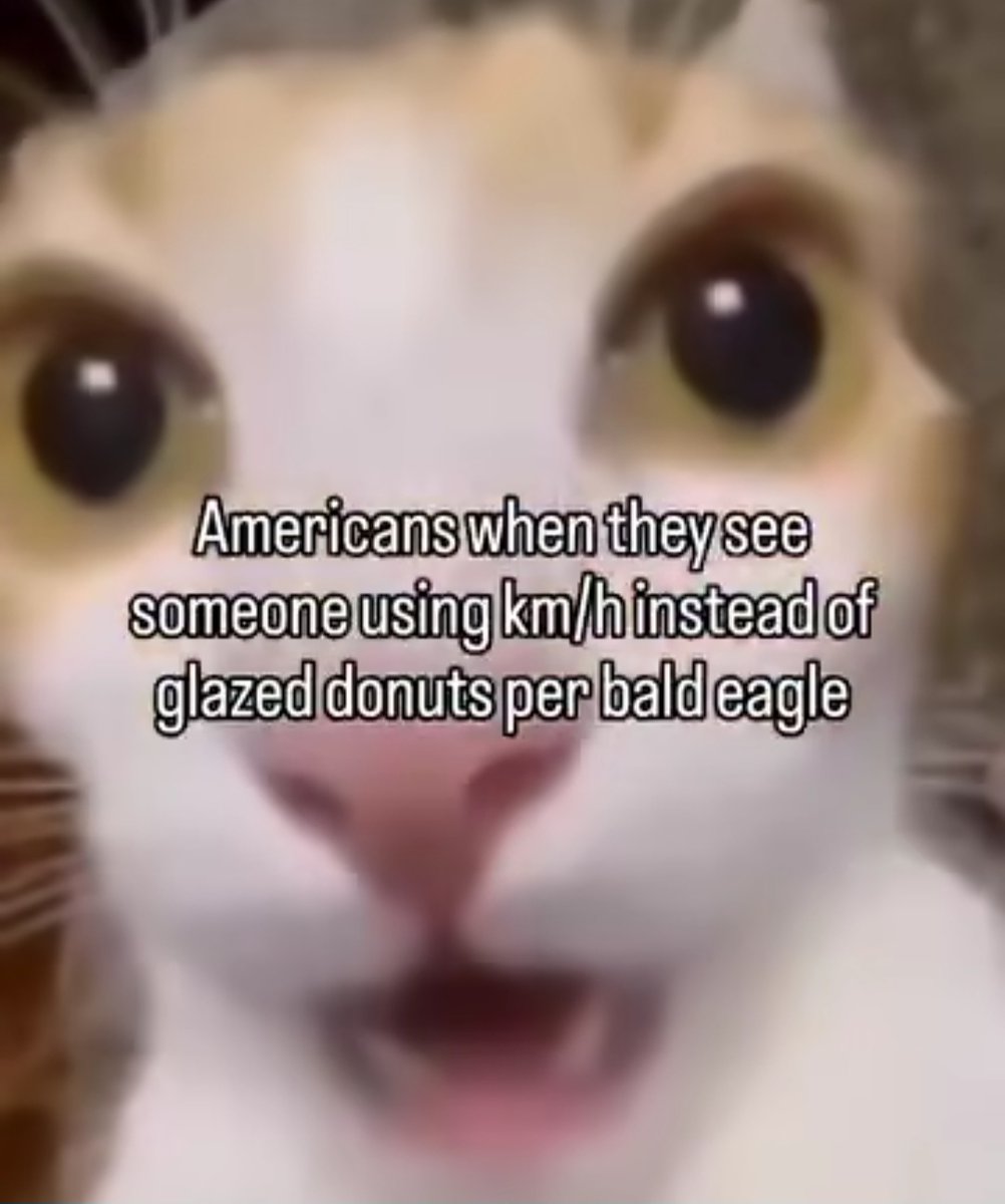 Meow Central tweet media