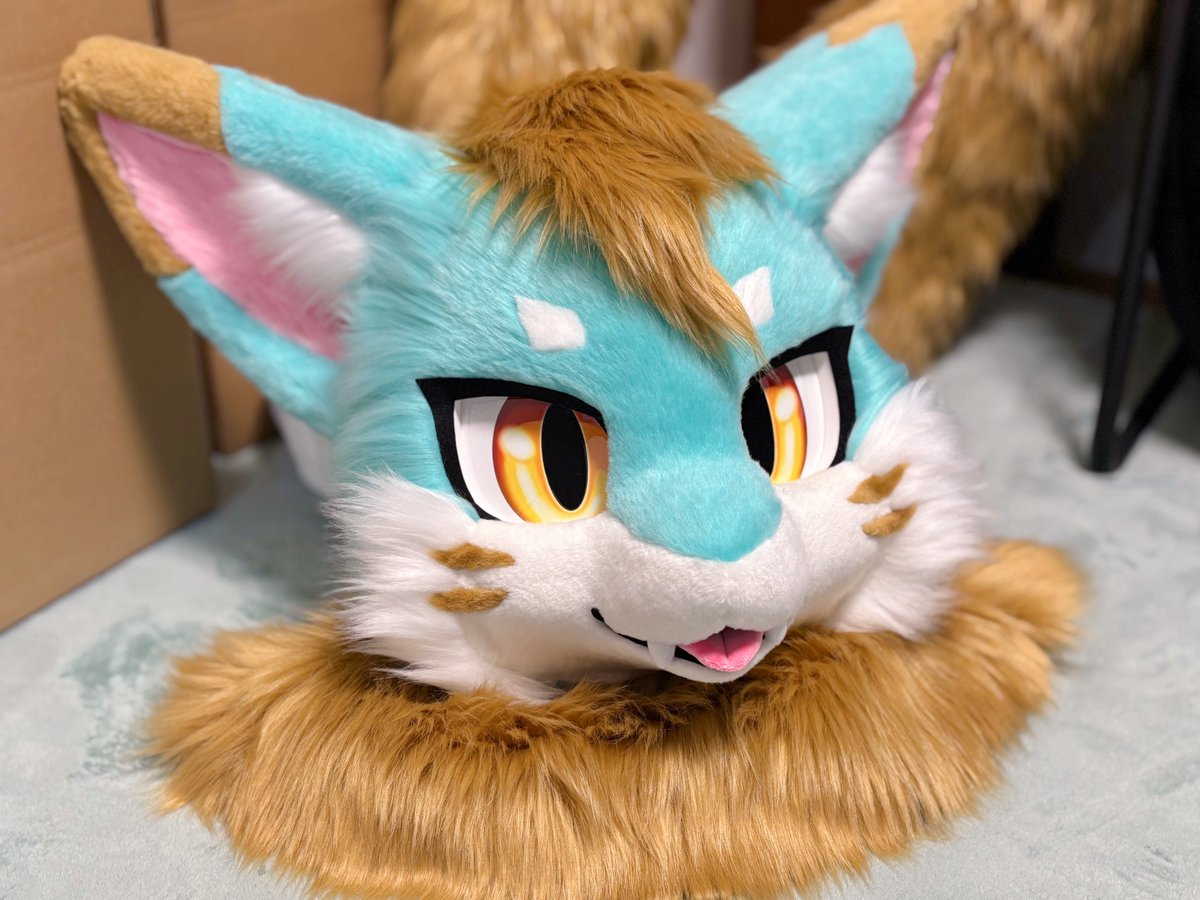 生まれたてレフィ君🌿