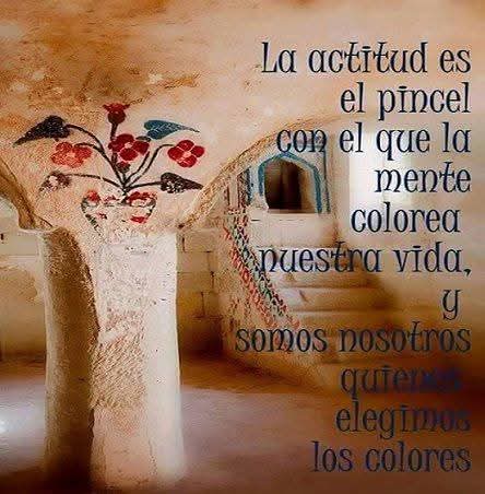 yoli_gotitaymar's tweet image. 🌈🖌️🌈🖌️🌈🖌️🌈🖌️
🌈🖌️🌈🖌️🌈🖌️🌈🖌️
Que nada y nadie robe tu tranquilidad.
Con los ánimos siempre arriba pintamos de colores todos los días de nuestra vida .
#BuenosDías
#FelizJueves
🌈🖌️🌈🖌️🌈🖌️🌈🖌️
🌈🖌️🌈🖌️🌈🖌️🌈🖌️