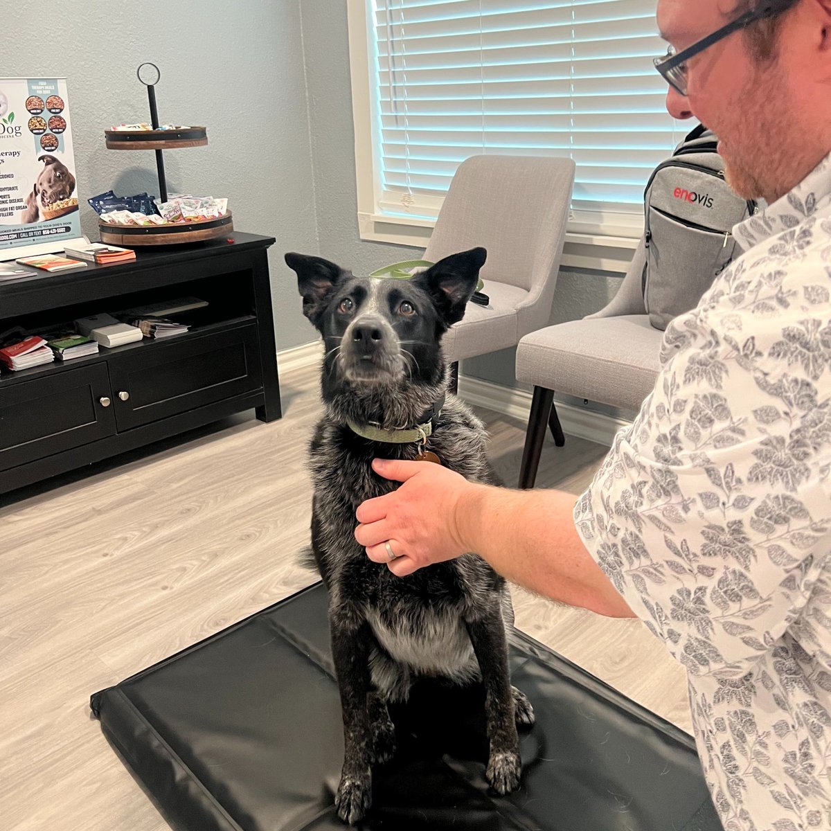 ❤️‍🩹Our Clinic of the Week is B'ahava Veterinary Health  in Roanoke, TX!🐶

Learn more about B'ahava Vet:hubs.ly/Q03xG36Q0
Learn more about laser therapy: hubs.ly/Q03xF-l50

#veterinary #lasertherapyforpets #companionanimalhealth #noninvasivehealing #enovis