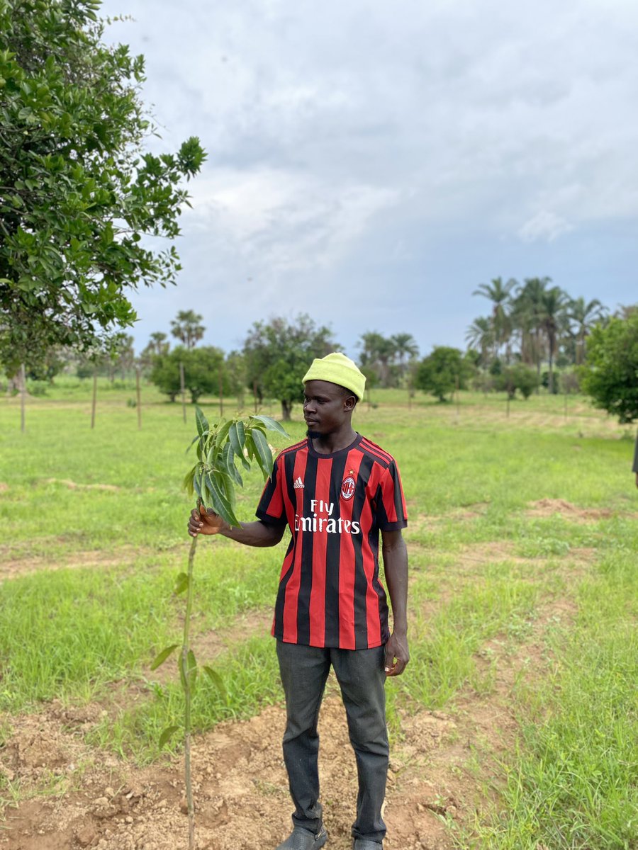 BappaFoundation's tweet photo. We planted 200 trees today to fight climate change, boost livelihoods, 

and build a greener, more resilient future. 

Every tree counts 🌴 

#ClimateAction https://t.co/PPvsBqQmah