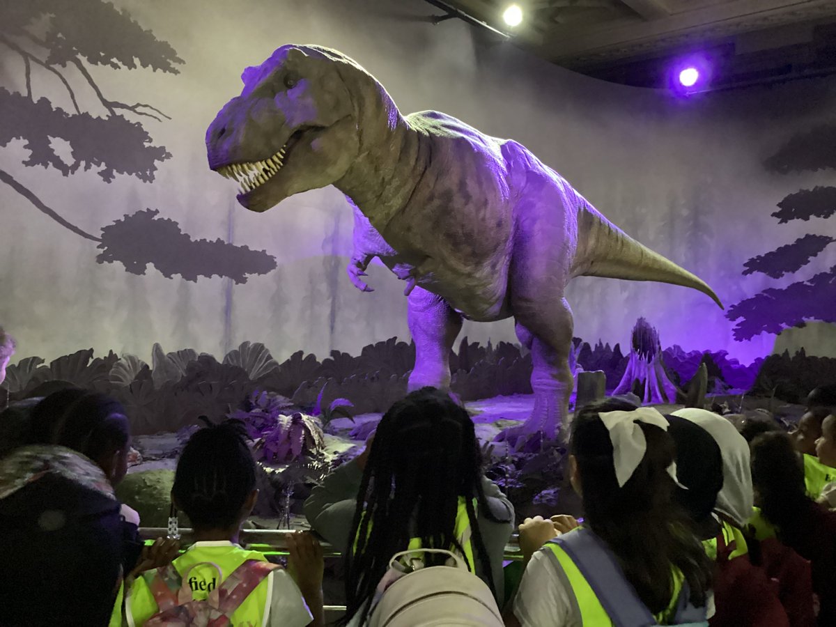 Enfieldheights's tweet photo. Year 2s had an amazing end-of-year trip to the Natural History Museum. From dinosaur skeletons to interactive exhibits on animals &amp; habitats, they were curious, excited &amp; full of wonder. A fantastic way to bring their science and geography learning to life.
#NaturalHistoryMuseum https://t.co/qcE5qF45IG