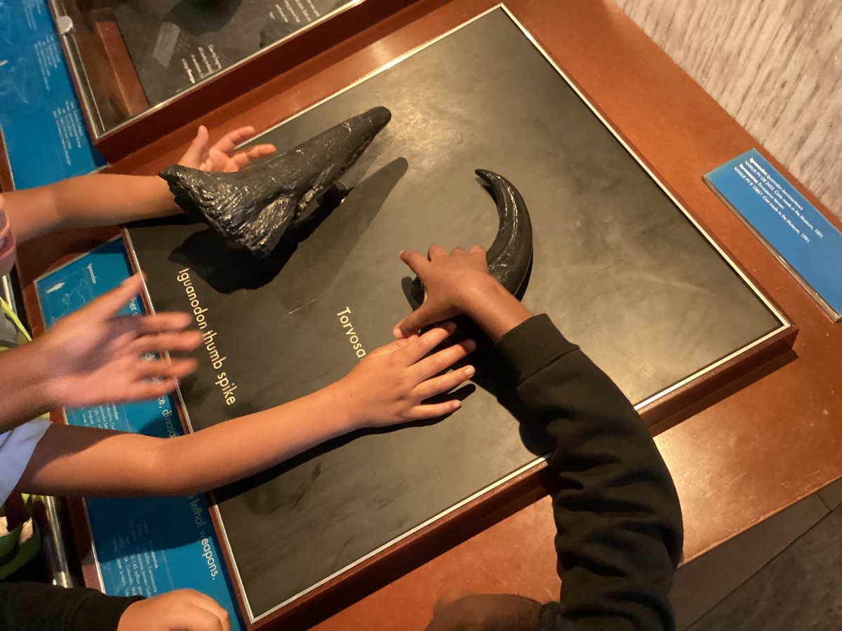 Year 2s had an amazing end-of-year trip to the Natural History Museum. From dinosaur skeletons to interactive exhibits on animals &amp; habitats, they were curious, excited &amp; full of wonder. A fantastic way to bring their science and geography learning to life.
#NaturalHistoryMuseum