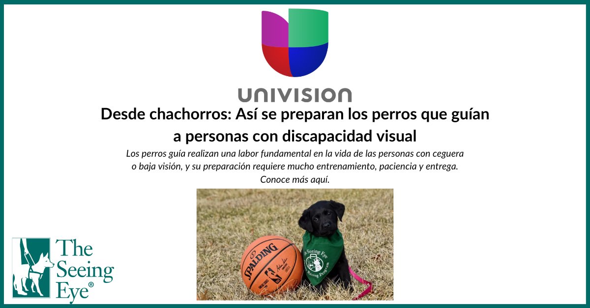 Congratulations to <a href="/SeeingEyeInc/">The Seeing Eye</a> for this placement in @univision. We are thrilled to reach a Spanish-speaking audience with their important message and mission! #ClearyStrategies #DontMissTheMoment