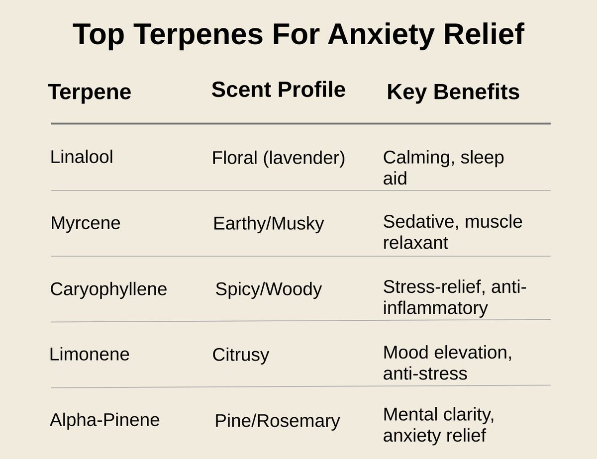 Do you use cannabis for anxiety relief? If so, look for these terpenes. 

Learn more: cannabistraininguniversity.com/medical/best-t…

#terpenes #anxiety #cannabiseducation #strains