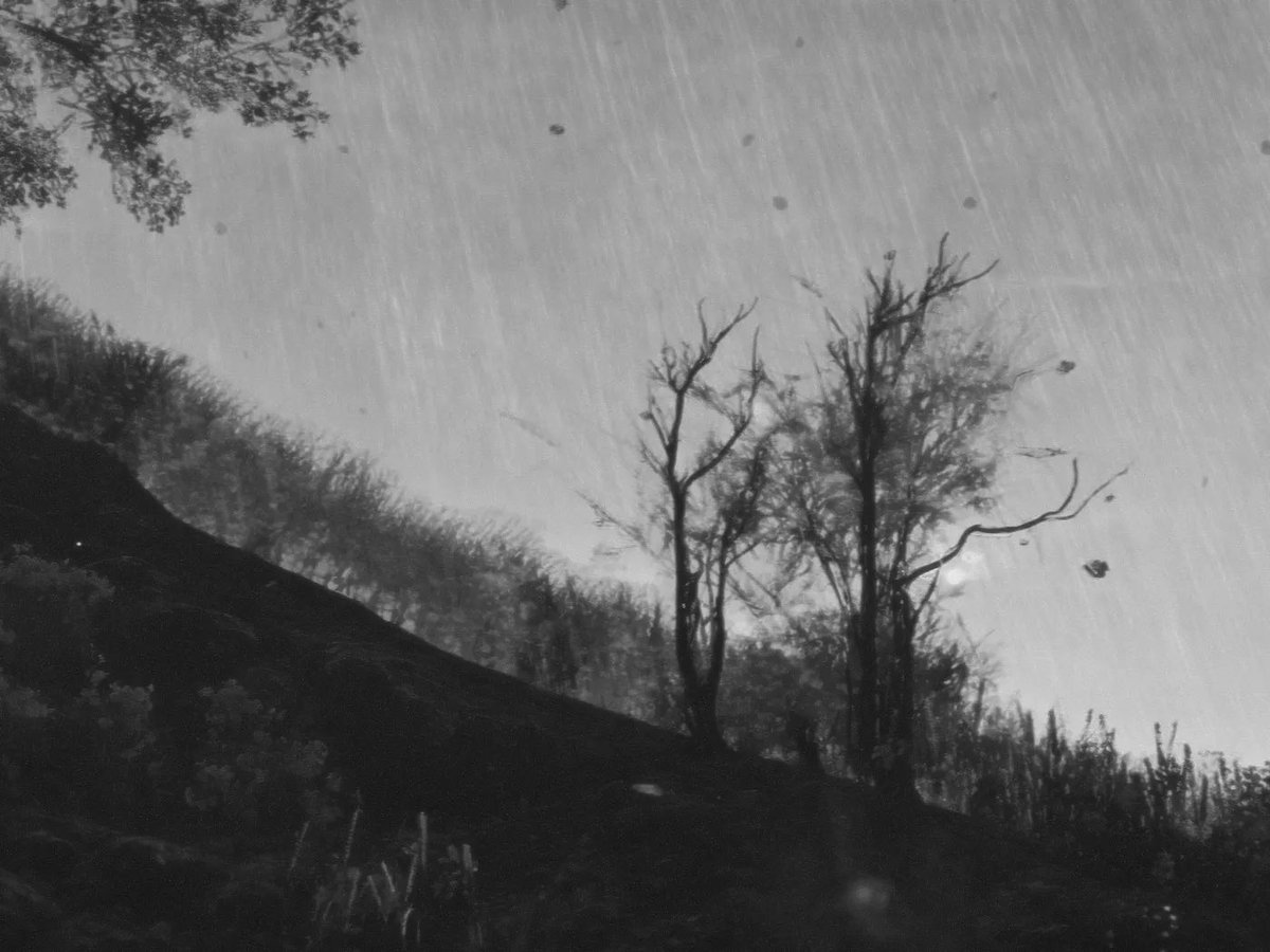 Collected Arcadia Inc: IPO #1 by <a href="/CezarMocan/">Cezar Mocan</a> via <a href="/office_impart/">OFFICE IMPART</a> / <a href="/verse_works/">verse</a> 🌲📷

This project hits on so many levels - speculative fiction, AI, photography, and critical commentary. 

Arcadia Inc. is a fictional stock-photo company run by AI agents inside a simulated