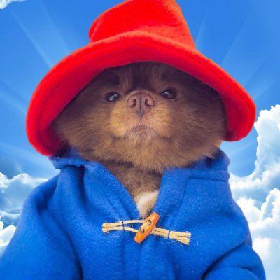 chat why is $BERT pumping?

he is not stopping what the fuck 

howwwwwwww