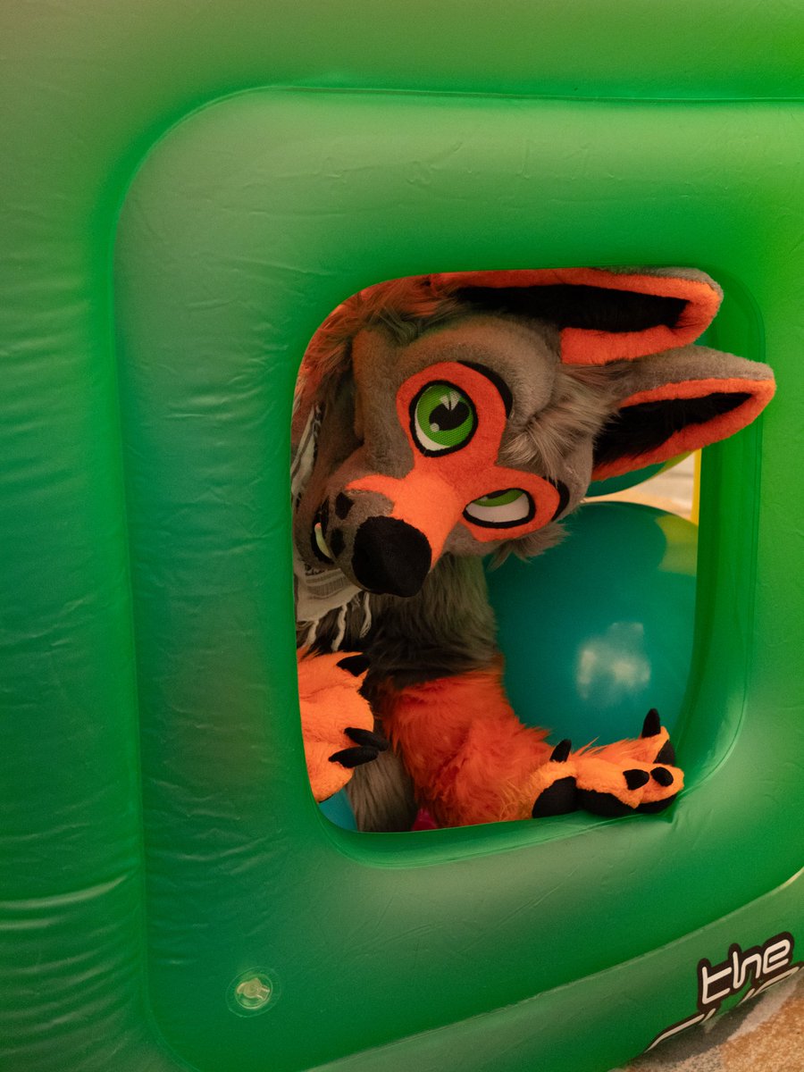 Nazokaos's tweet image. Looking for a roommate very spacious bouncy house filled with balloons send your application now!
📸: @sockfox