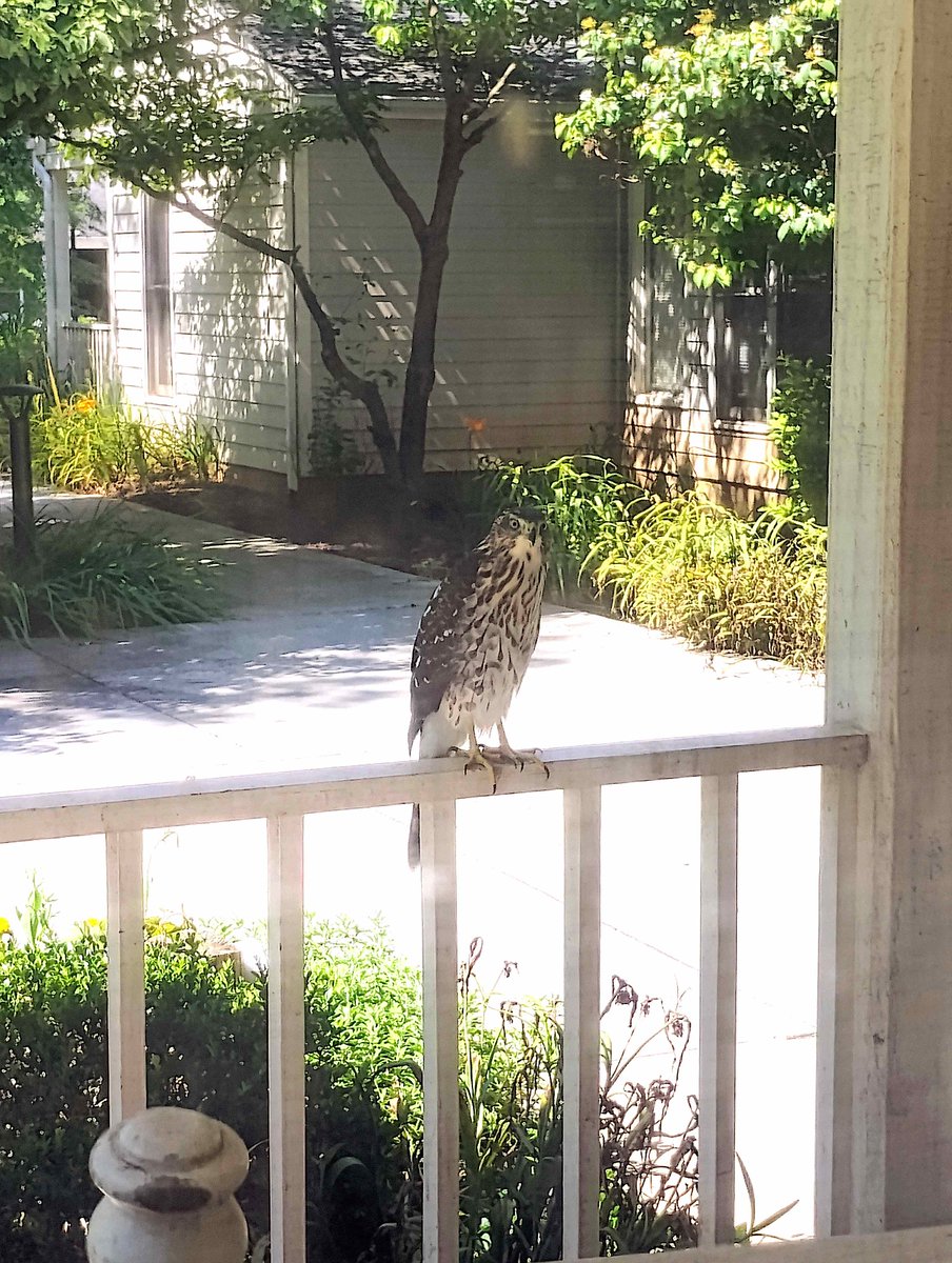 ontheDTM's tweet image. I was being watched this morning.
