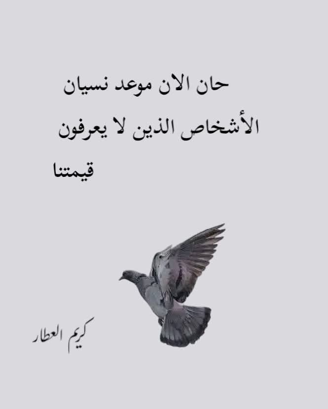 Jall Kasem (@kasemjall61104) on Twitter photo 