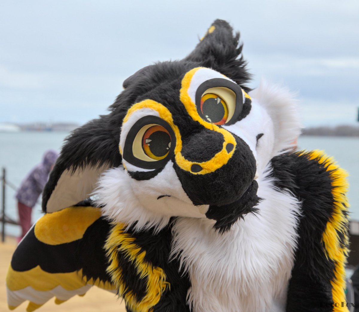 Anyone goin to @FurEh? 👀

#furry #fursuit 
📸 ~&gt; @decofox2