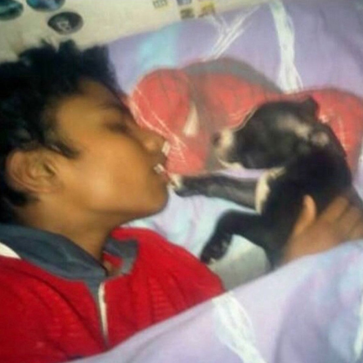 MochaCaramelito's tweet image. For the rest of our lives ❤️🕊️