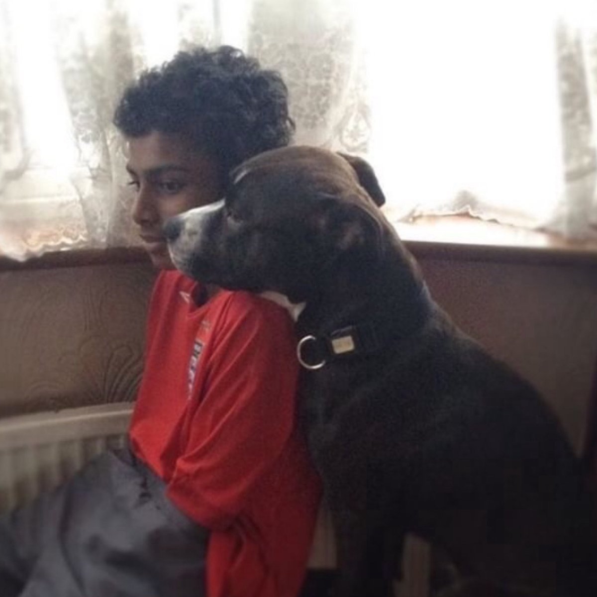 MochaCaramelito's tweet image. For the rest of our lives ❤️🕊️